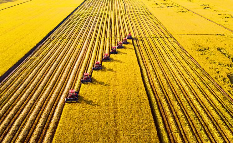 把中国人的饭碗牢牢端在自己手中