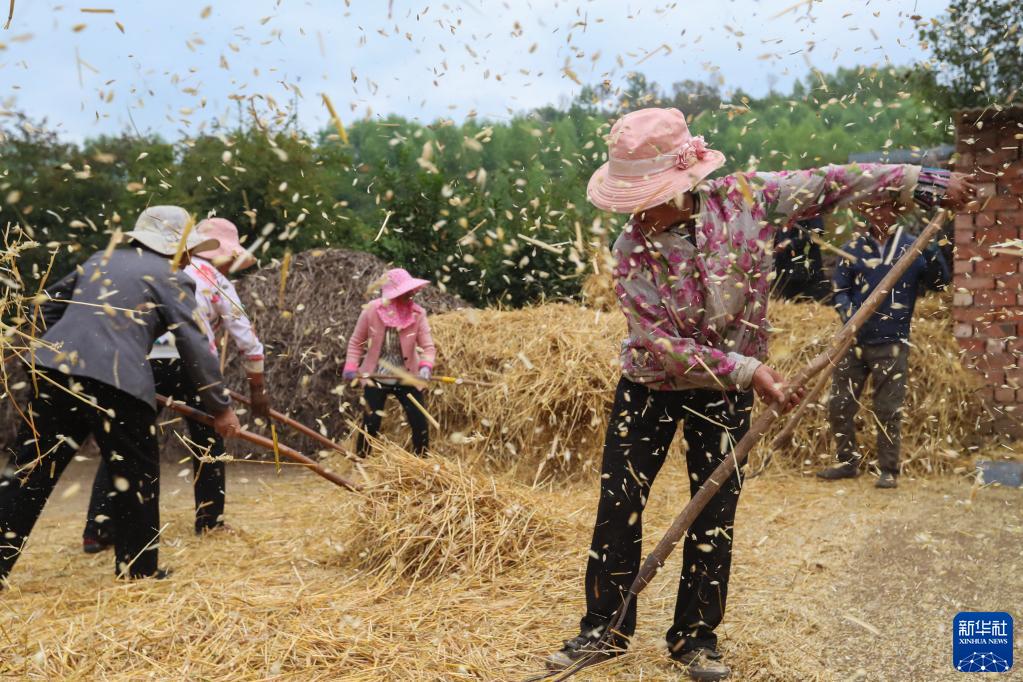 习近平的人民情怀(图5)