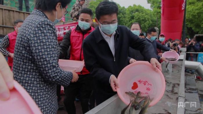 880万尾鱼苗“安家”沅江 湖南常德开展鱼类人工增殖放流活动(图1) 880万尾鱼苗“安家”沅江 湖南常德开展鱼类人工增殖放流活动(图1)