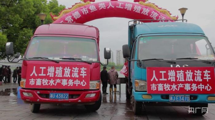 880万尾鱼苗“安家”沅江 湖南常德开展鱼类人工增殖放流活动(图2) 880万尾鱼苗“安家”沅江 湖南常德开展鱼类人工增殖放流活动(图2)