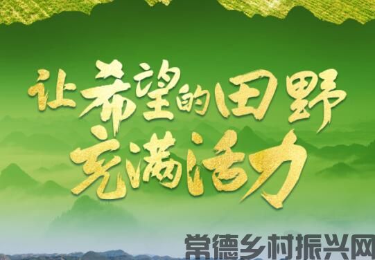 让希望的田野充满活力——从全国两会看乡村振兴发力点