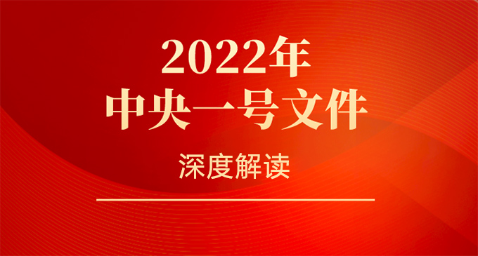 2022年中央一号文件深度解读：乡村振兴工作的重点和重大机遇