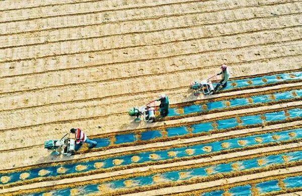 20220401164881657213.jpg 641.jpg