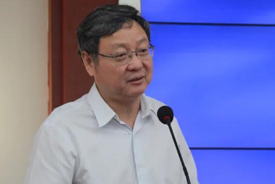 [专访]张红宇：加快数字乡村建设