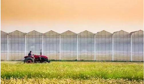 十个农业项目八个死，他们为什么会失败？