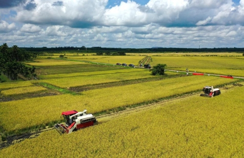 权威访谈丨扎实稳妥推进乡村建设 ——中央农办负责人就《乡村建设行动实施方案》答记者问