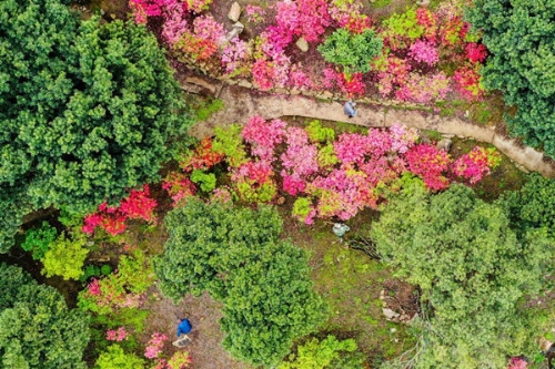 权威访谈丨扎实稳妥推进乡村建设 ——中央农办负责人就《乡村建设行动实施方案》答记者问(图2) 权威访谈丨扎实稳妥推进乡村建设 ——中央农办负责人就《乡村建设行动实施方案》答记者问(图2)