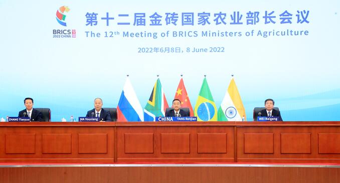 第十二届金砖国家农业部长会议召开 农业农村部部长唐仁健出席并作主旨发言
