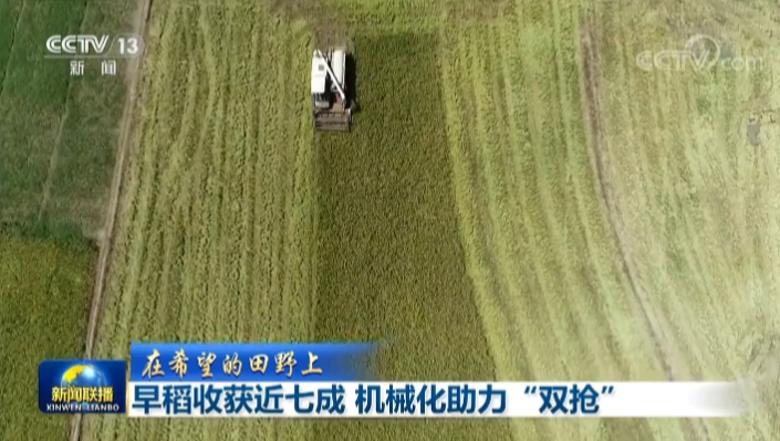 央视《新闻联播》聚焦常德早稻收割 颗粒归仓的秘密→