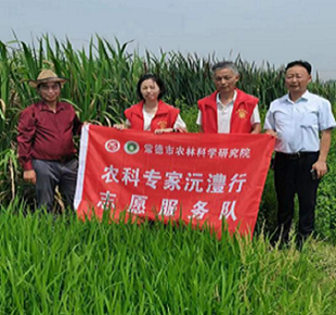 真专家接地气 促产业助振兴 ——市农科院“农科专家沅澧行”水稻专家志愿 服务队开展科技志愿服务