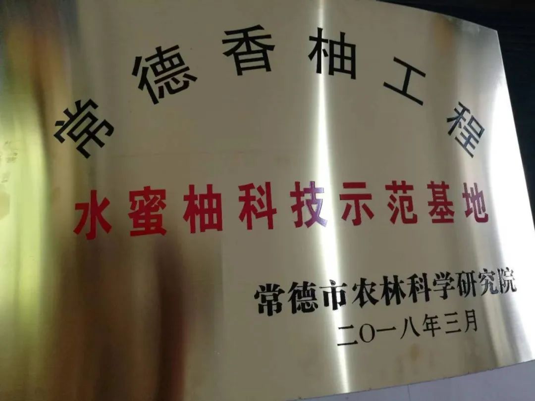 微信图片_20220815225816.jpg 微信图片_20220815225816.jpg