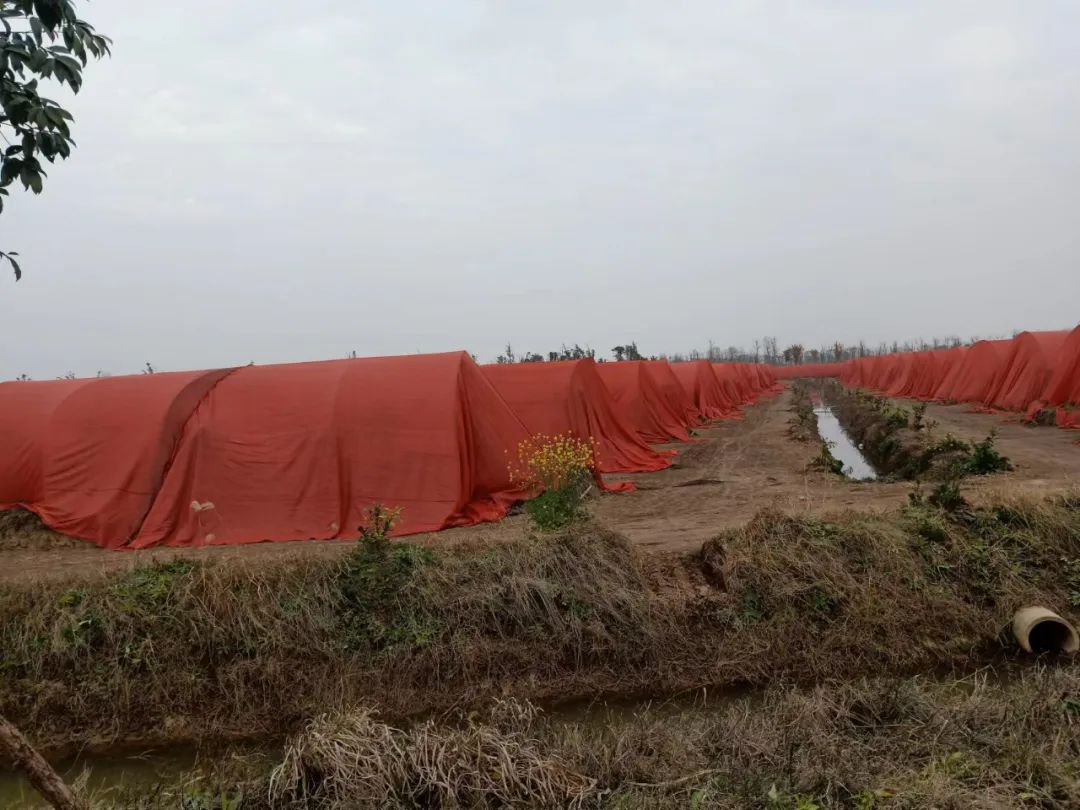 微信图片_20220815230010.jpg 微信图片_20220815230010.jpg