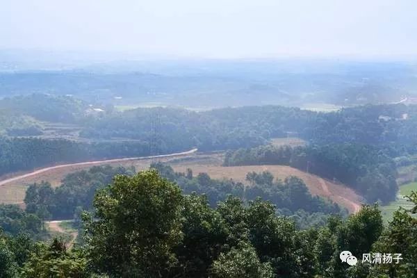 李淑孟：开泰山与白龙泉（《谁不说俺家乡美》系列散文之二）