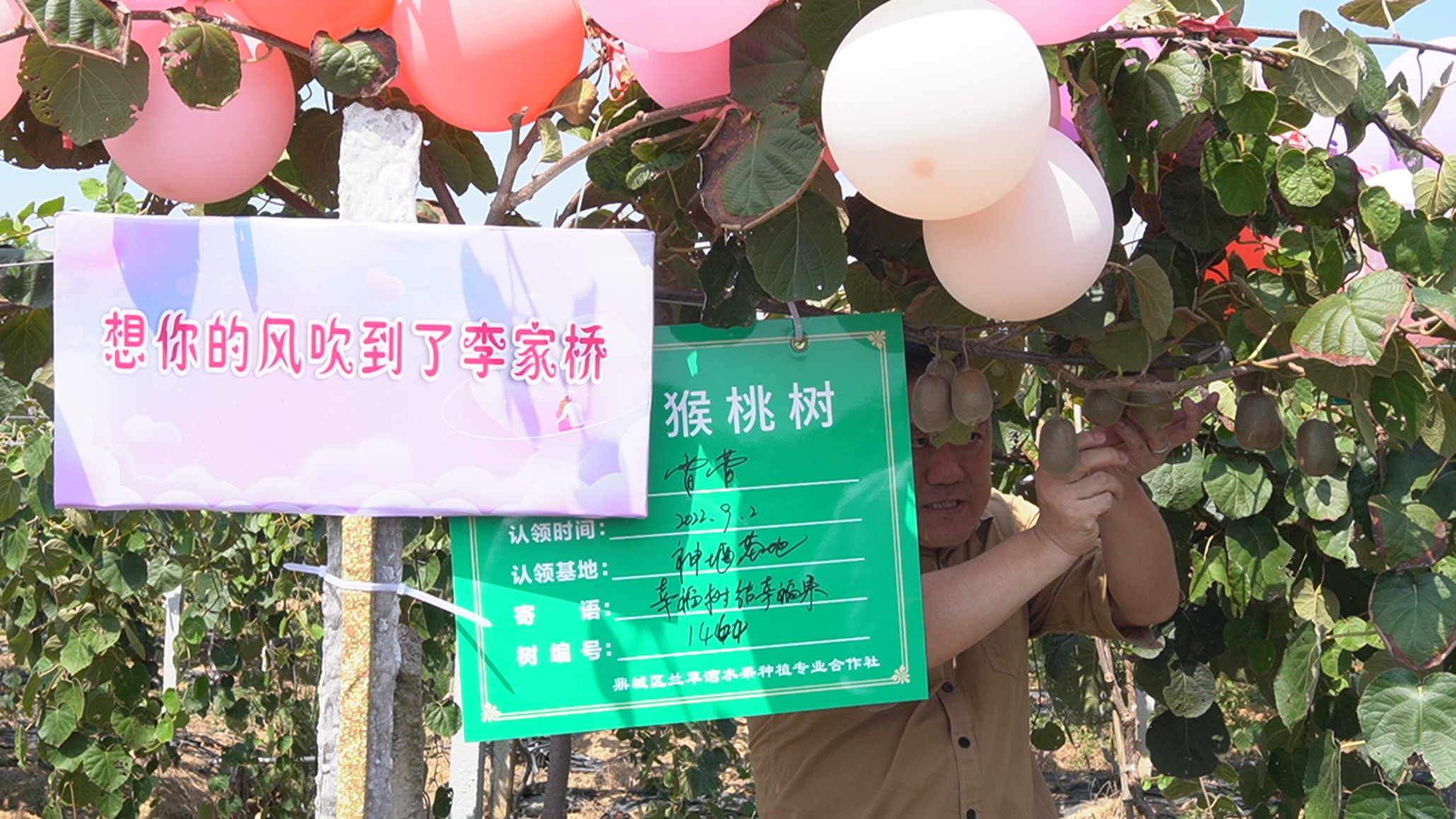 图片7.jpg 图片7.jpg