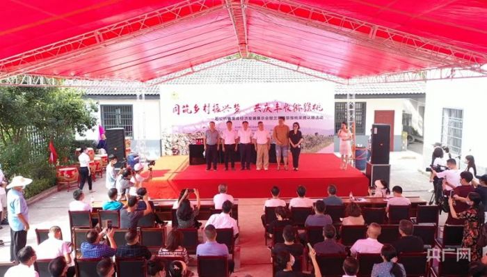 湖南常德：瞄准城市消费升级 300亩红心猕猴桃采摘获认领