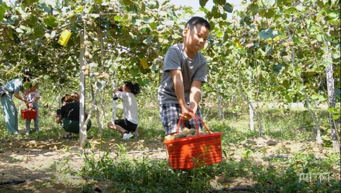 微信图片_20220908183222.jpg 微信图片_20220908183222.jpg