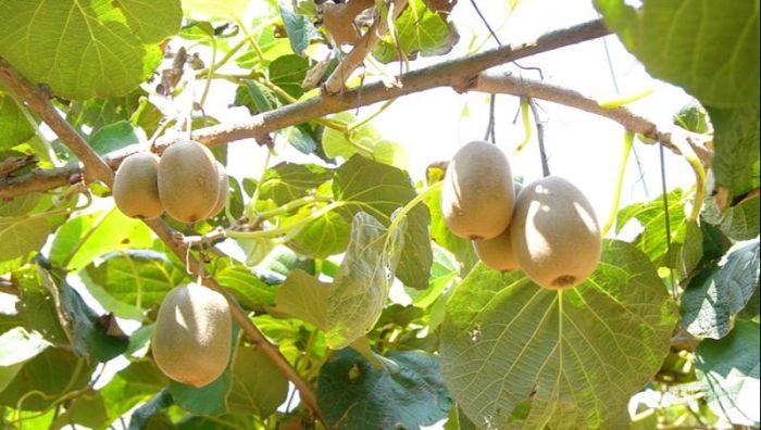 微信图片_20220908183315.jpg 微信图片_20220908183315.jpg