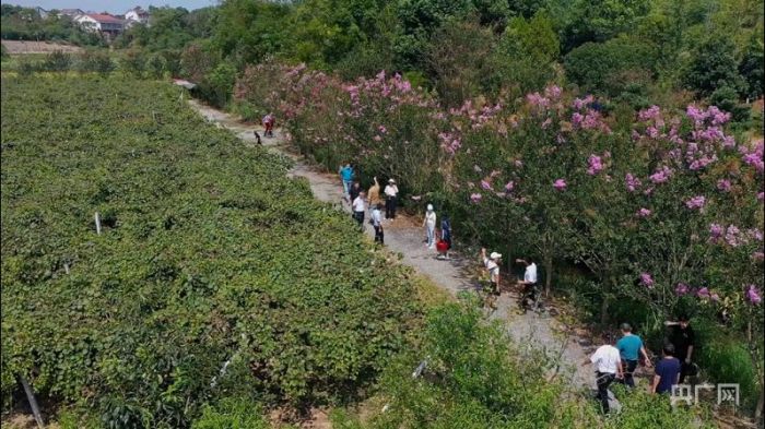 微信图片_20220908183350.jpg 微信图片_20220908183350.jpg