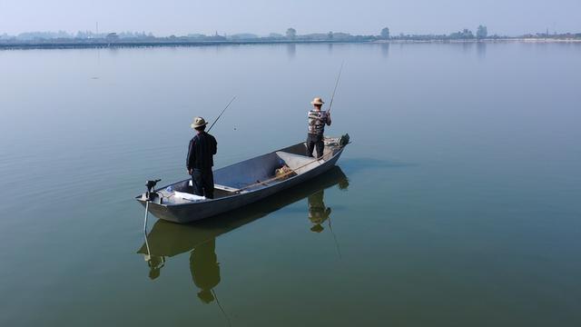 汉寿甲鱼甲天下, 中国(汉寿)首届甲鱼产业大会将于11月5日举办(图2) 汉寿甲鱼甲天下, 中国(汉寿)首届甲鱼产业大会将于11月5日举办(图2)