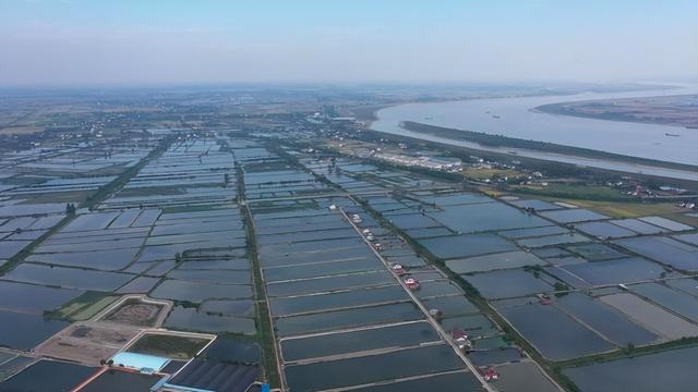 汉寿甲鱼甲天下, 中国(汉寿)首届甲鱼产业大会将于11月5日举办