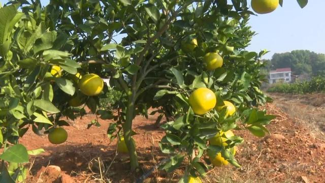 微信图片_20221205141418.jpg 微信图片_20221205141418.jpg