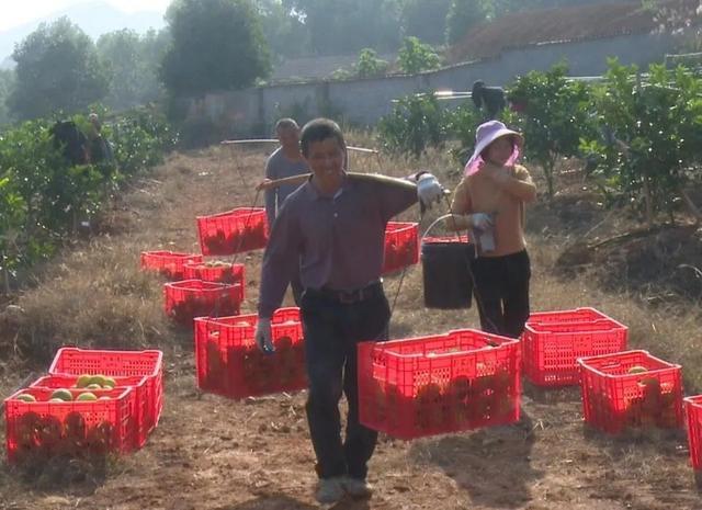 微信图片_20221205141422.jpg 微信图片_20221205141422.jpg