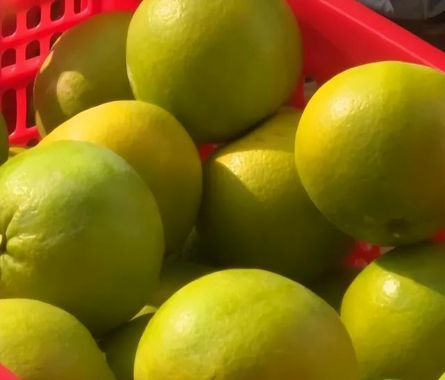 微信图片_20221205141413.jpg 微信图片_20221205141413.jpg