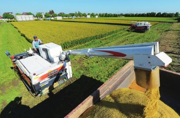 乡村要留住人才用好人才