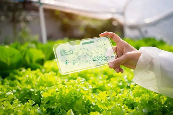 治理现代化视角下数字乡村建设的现实困境及优化路径