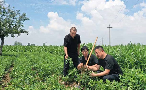 赓续脱贫攻坚精神 绘就乡村振兴画卷