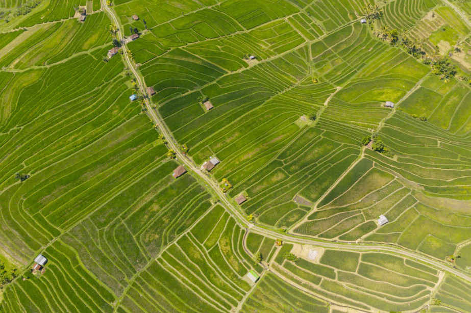 乡村振兴可申报的43项国家项目补贴