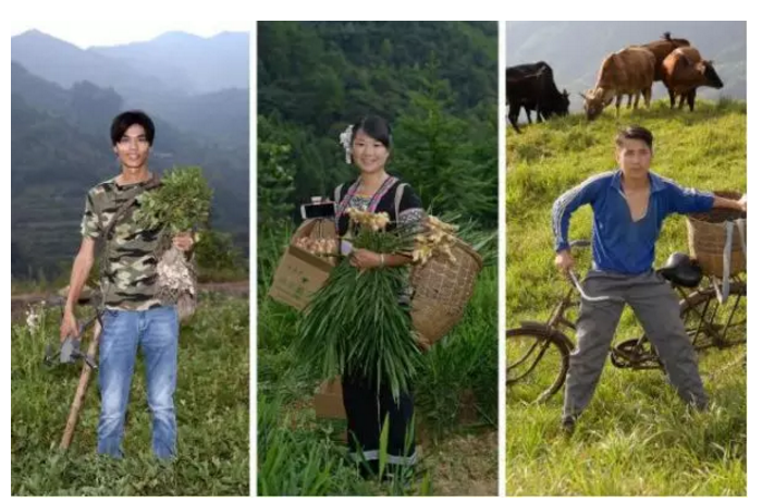 乡村网红让县域乡村“红”起来(图2) 乡村网红让县域乡村“红”起来(图2)