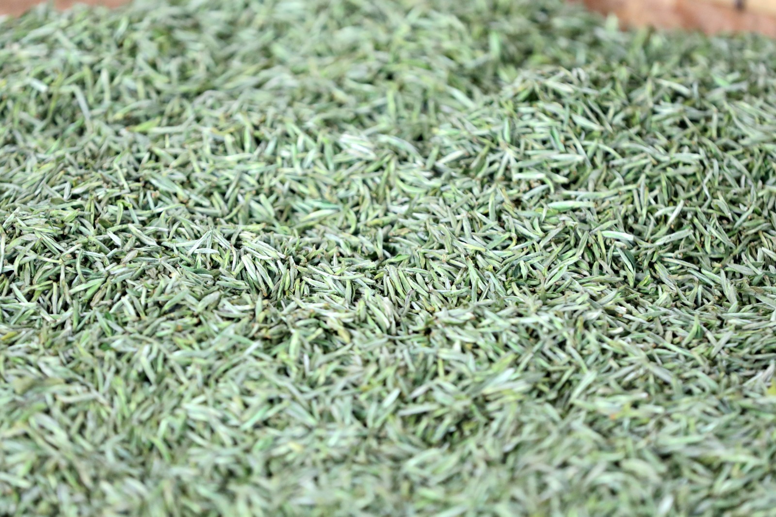 湖南常德：应对“明前茶”市场需求高峰(图5)