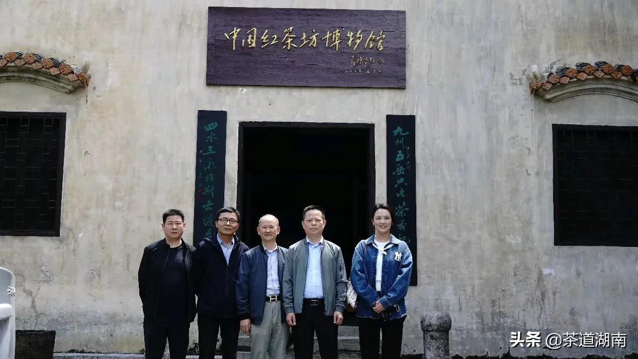 “武陵红考茶团”走进壶瓶山有机茶园