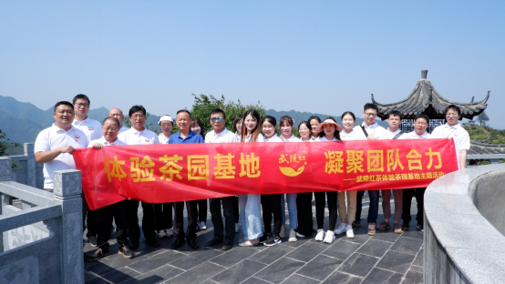 凝聚团队合力 | 武陵红茶体验茶园基地主题活动