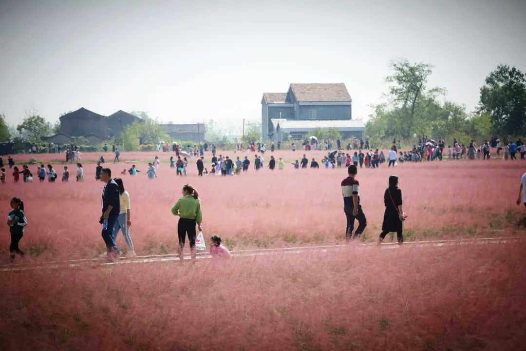 微信图片_20220805235814.jpg 微信图片_20220805235814.jpg