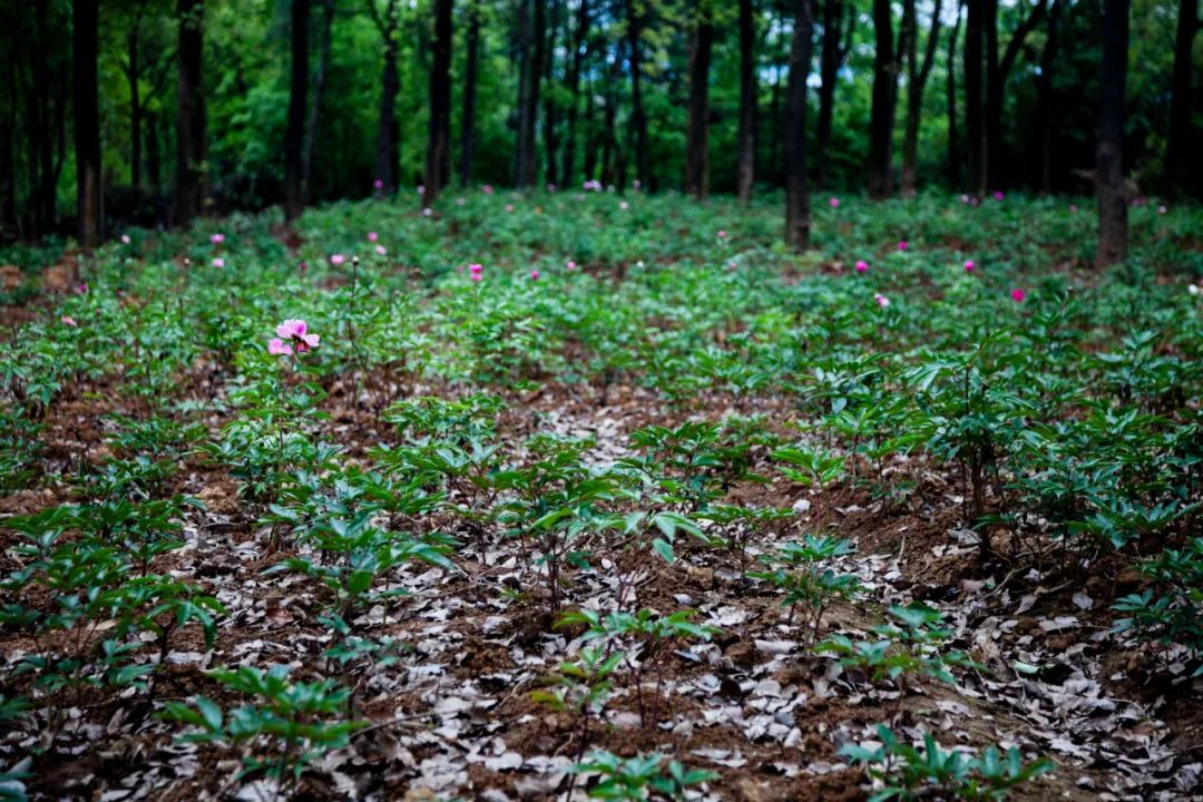 微信图片_20220816223458.jpg 微信图片_20220816223458.jpg