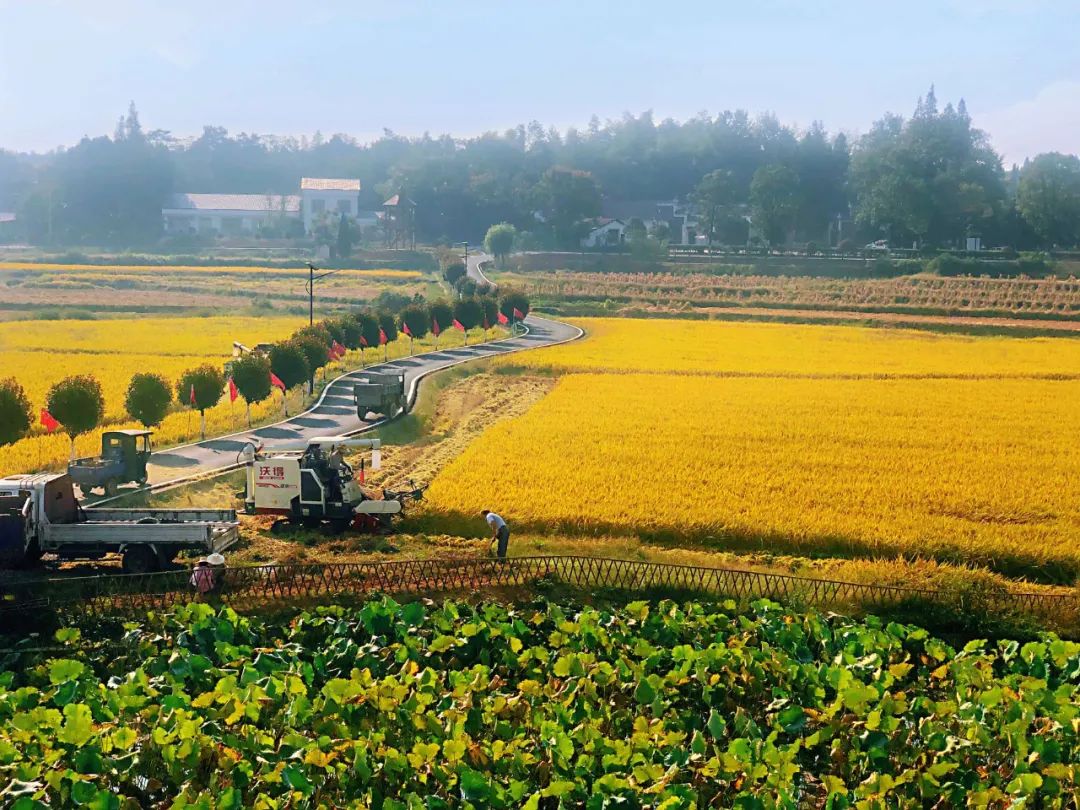 微信图片_20220905105641.jpg 微信图片_20220905105641.jpg