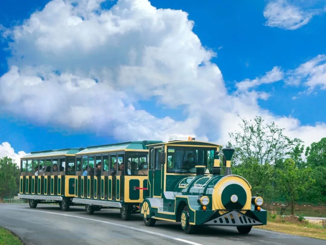 国庆趣旅行 | 汉寿野生动物世界十一假期游玩攻略请收好！