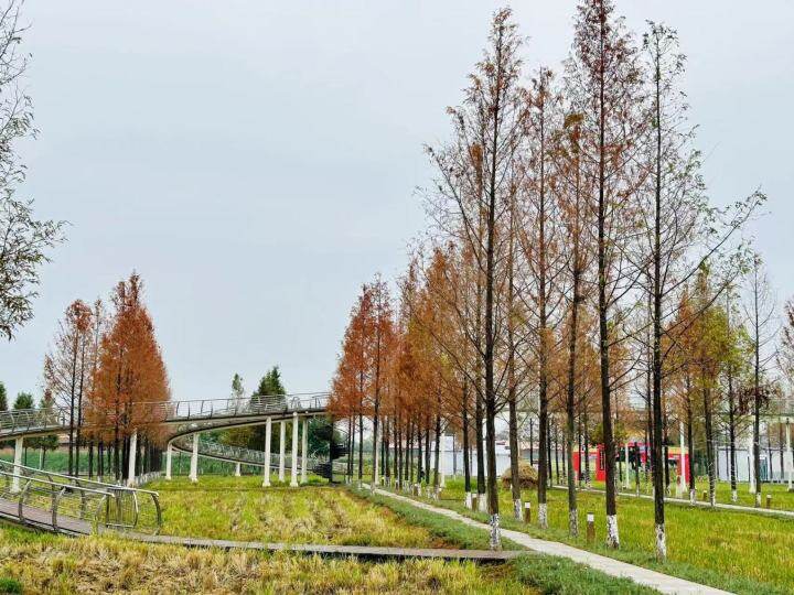 微信图片_20221012165305.jpg 微信图片_20221012165305.jpg