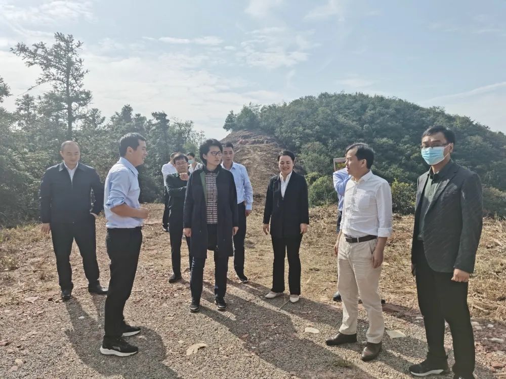 陈华赴太浮山督导森林防火工作