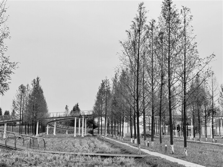 湖南澧县城头山： 擦亮农耕文化新名片