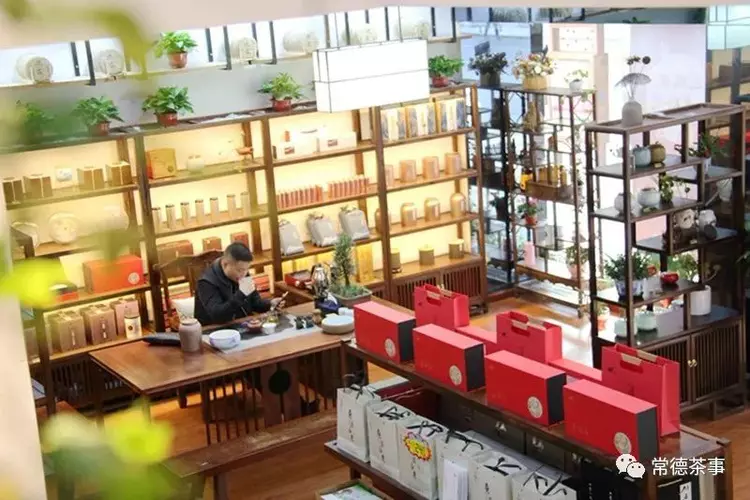 莫松青 一生事茶 修一世安宁(图4)