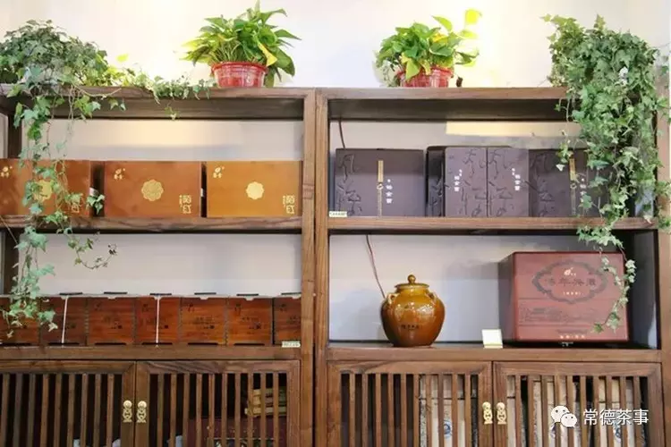 莫松青 一生事茶 修一世安宁(图16)