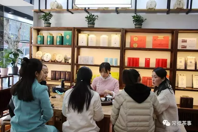 莫松青 一生事茶 修一世安宁(图28)