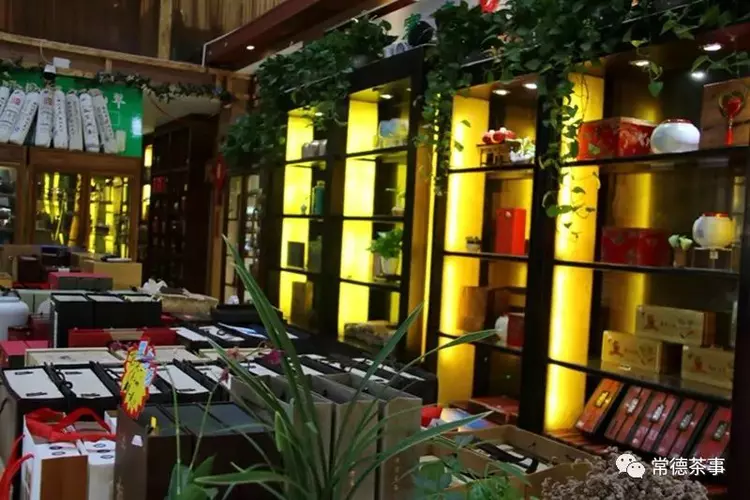 莫松青 一生事茶 修一世安宁(图18)