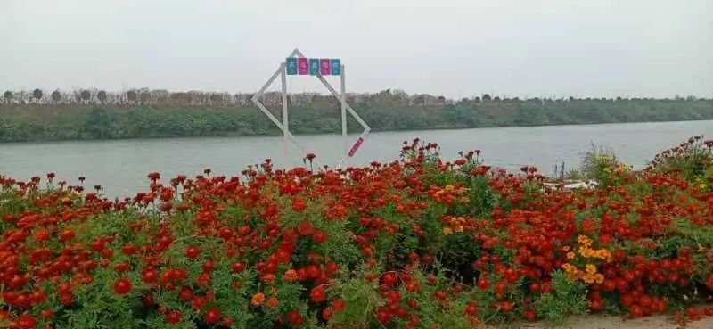 7.jpg 【100个角度看彭山】喜讯 彭山景区被中国科协评为全国科普教育基地(图7)