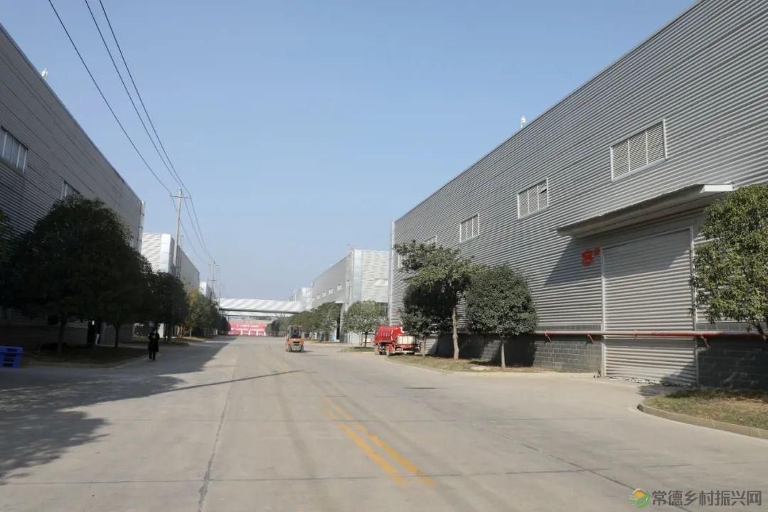 【走进临澧】春风沃土育“群星”25条“人才新政”背后的故事(图17)