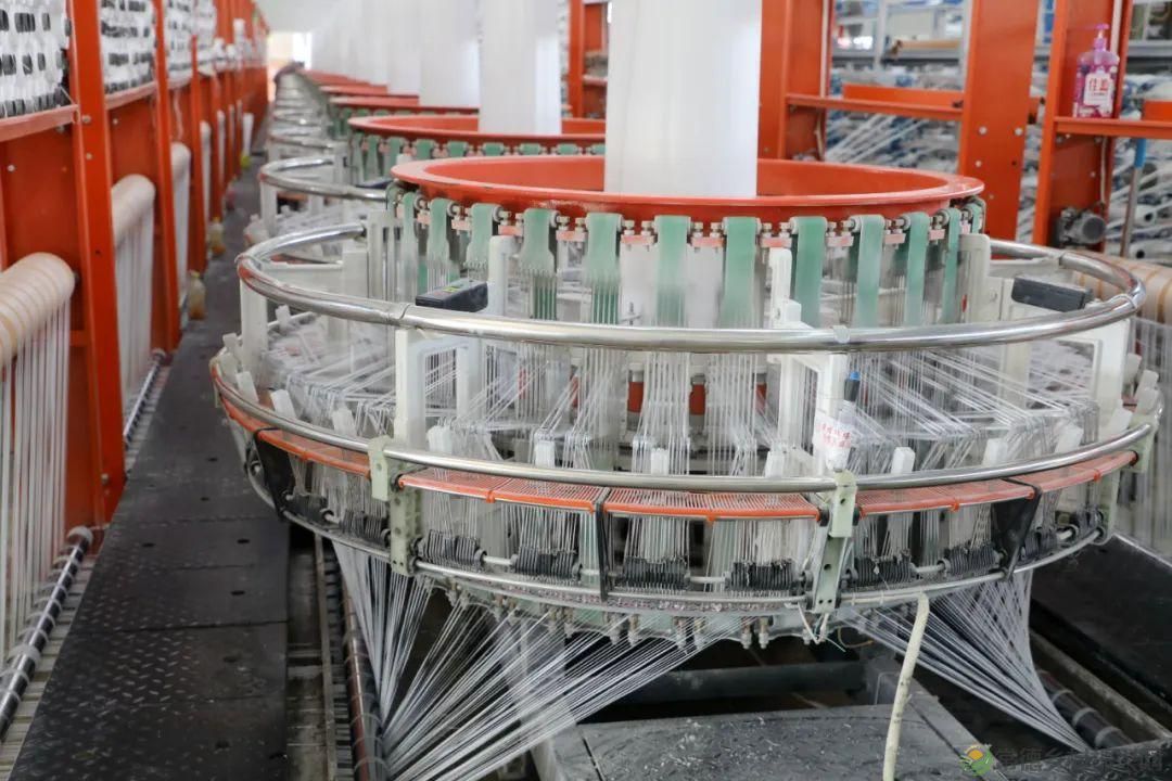 【走进临澧】春风沃土育“群星”25条“人才新政”背后的故事(图19)