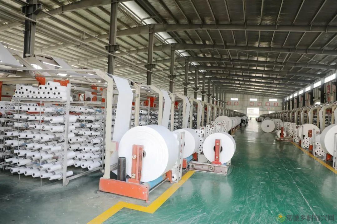 【走进临澧】春风沃土育“群星”25条“人才新政”背后的故事(图20)